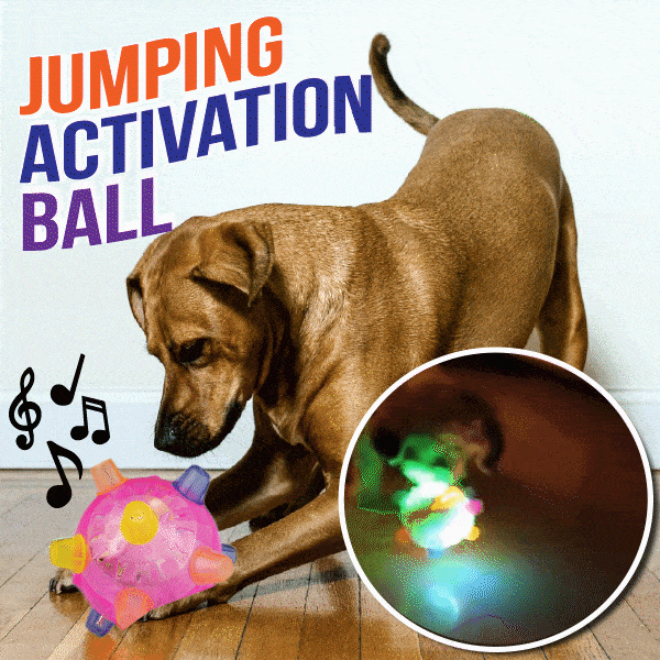 Glosrity Pet Ball Endless Entertainment for Your Furry Friend!