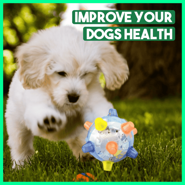 Glosrity Pet Ball Endless Entertainment for Your Furry Friend!