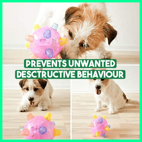 Glosrity Pet Ball Endless Entertainment for Your Furry Friend!