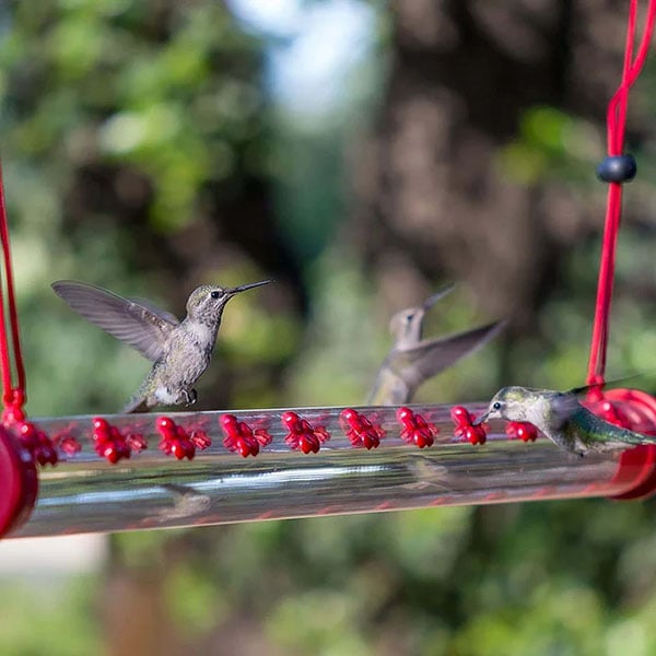 Flower Bar Hummingbird Feeder