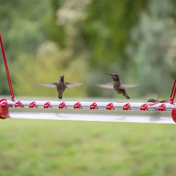 Flower Bar Hummingbird Feeder