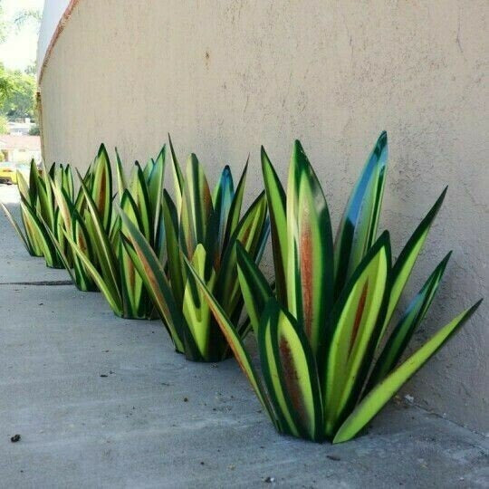 Glosrity Anti-rust Metal Tequila Agave Plant