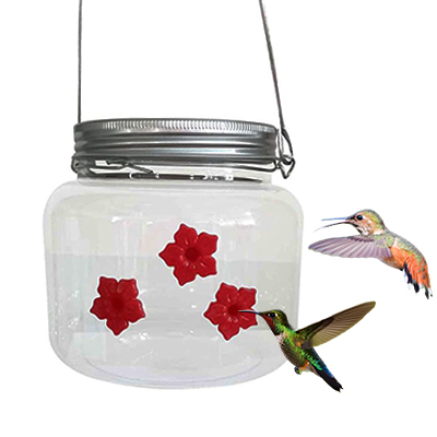 Glosrity Mason Jar Hummingbird Feeder