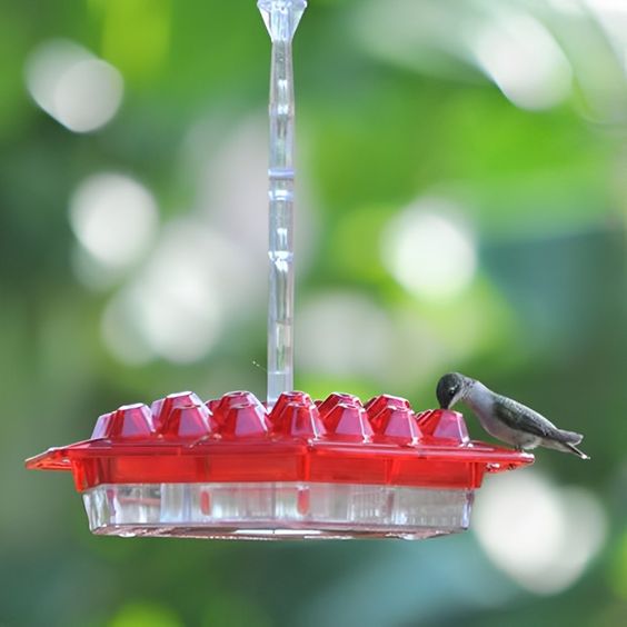 Glosrity Sweety Hummingbird Feeder