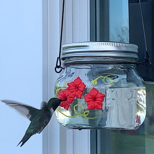 Glosrity Mason Jar Hummingbird Feeder