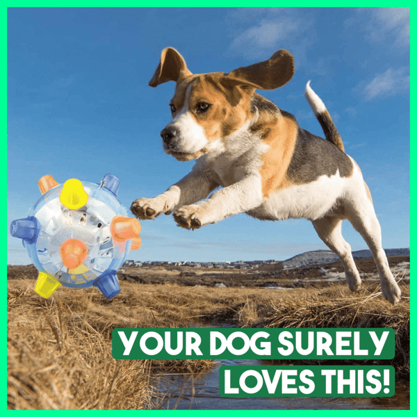 Glosrity Pet Ball  Endless Entertainment for Your Furry Friend!