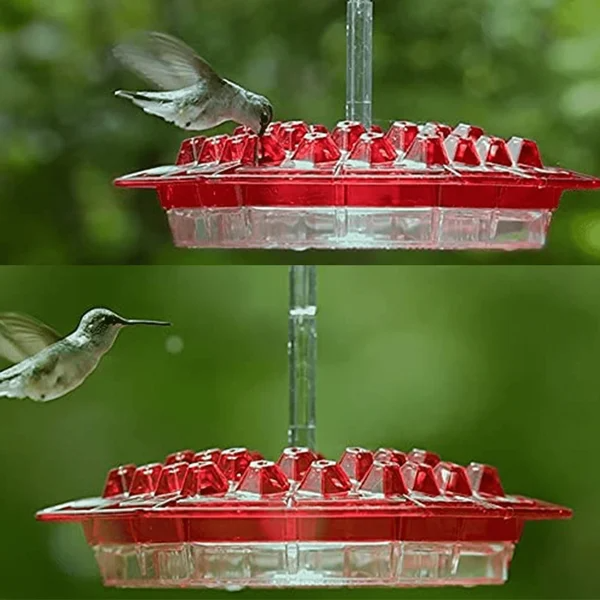 Glosrity Sweety Hummingbird Feeder