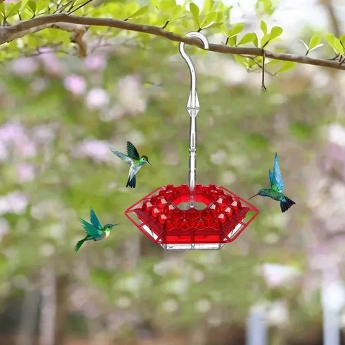 Glosrity Sweety Hummingbird Feeder