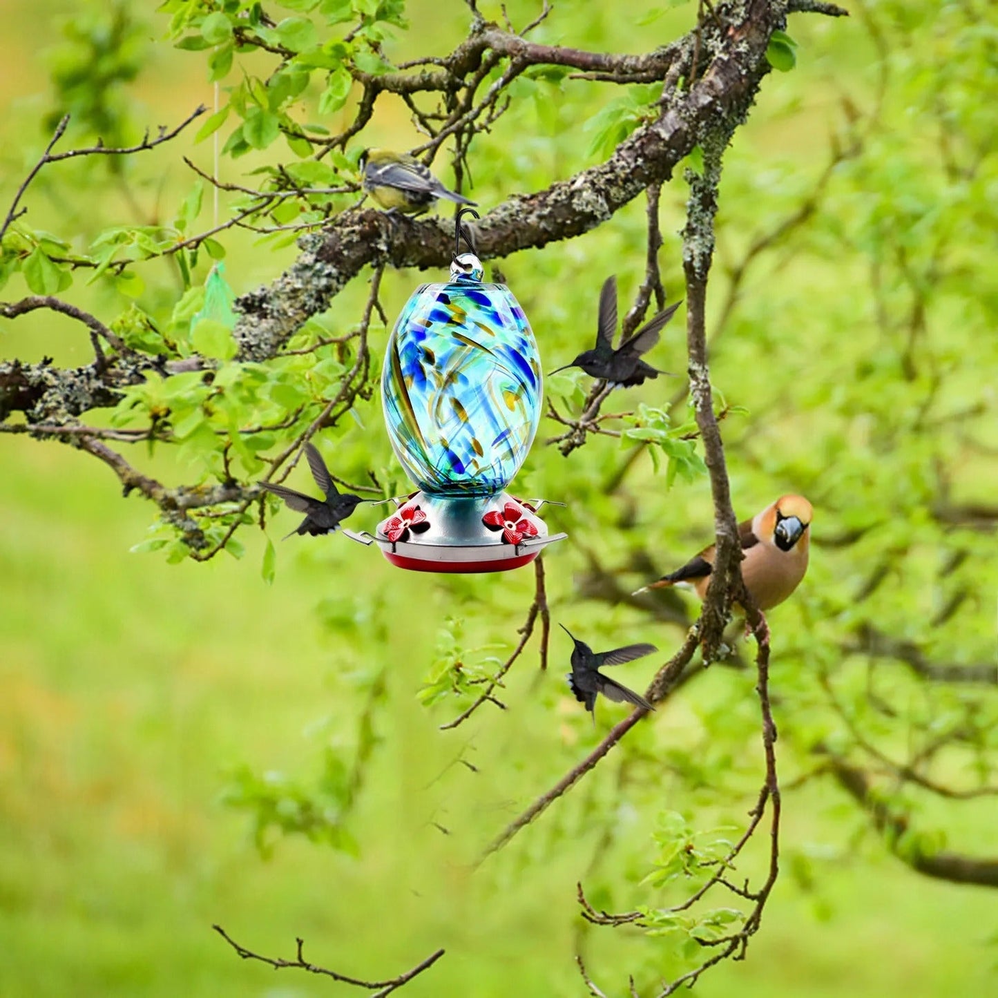 Glosrity Hand Blown Glass Hummingbird Feeder - 25 Ounces