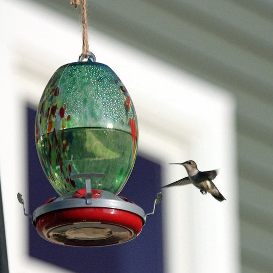 Glosrity Hummingbird Feeder Hand Blown Glass - 25 Ounces